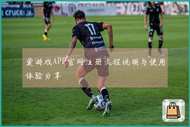 爱游戏APP官网注册流程说明与使用体验分享