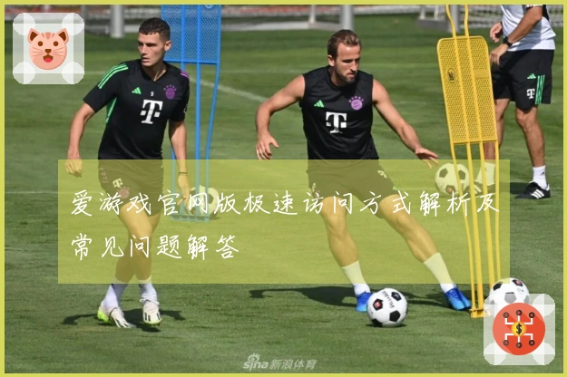 爱游戏官网版极速访问方式解析及常见问题解答